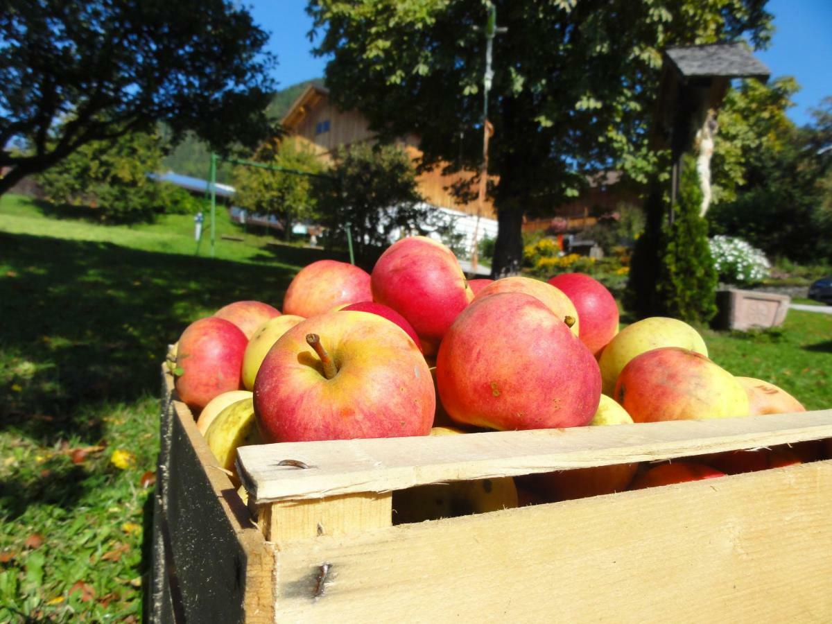 Mair Am Graben Farm * Chalets تيرينتو المظهر الخارجي الصورة