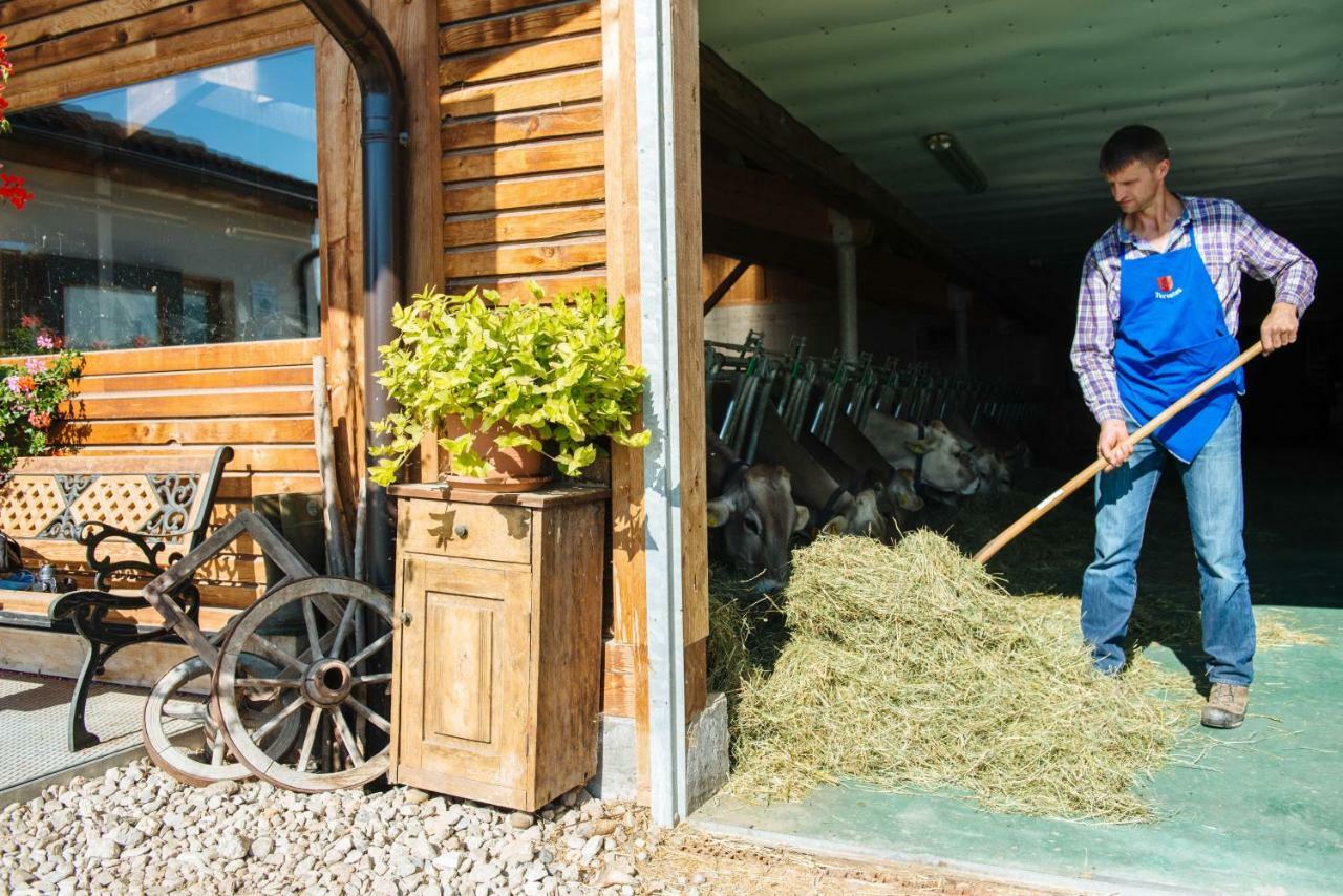 Mair Am Graben Farm * Chalets تيرينتو المظهر الخارجي الصورة
