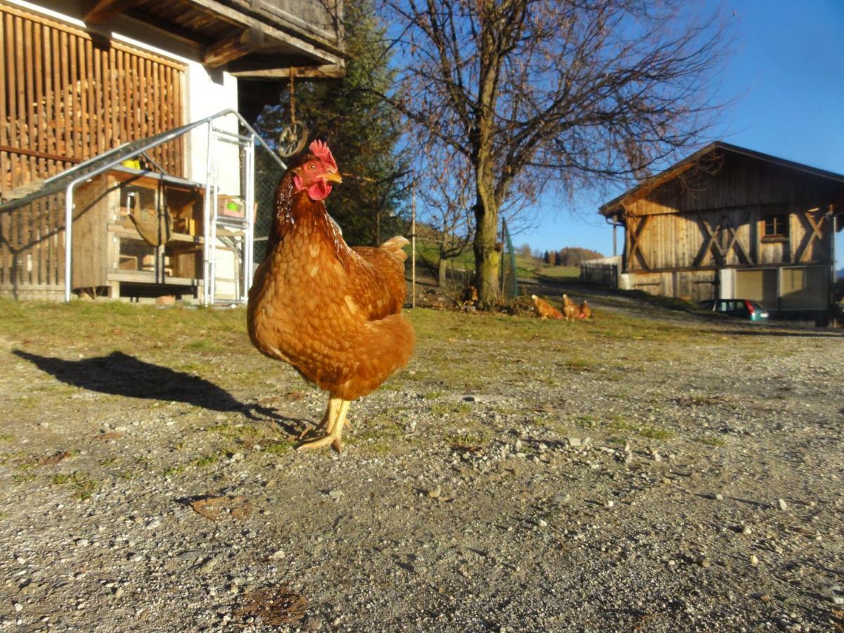 Mair Am Graben Farm * Chalets تيرينتو المظهر الخارجي الصورة